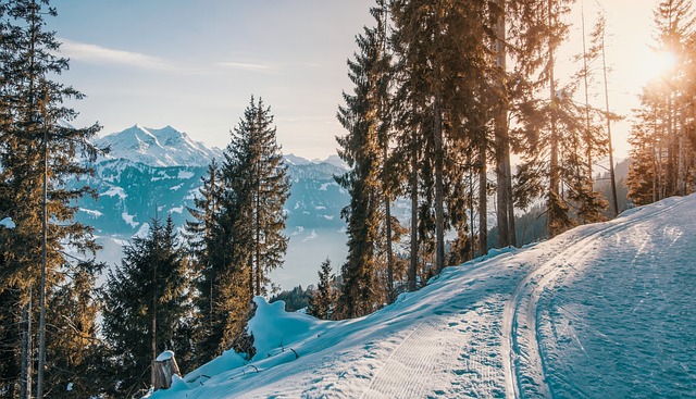 Skisport for nybegyndere: En guide til at komme i gang på ski
